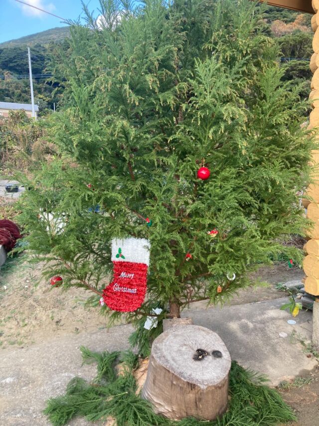 こんにちは！高井旅コテージ・ログハウスです。
#上五島クリスマス #高井旅クリスマスマーケット まであと2日です！

スタッフも飾り付けして準備中です！

13(土)と14(日)に、高井旅コテージ・ログハウスでお待ちしております。

@coco_goto_cakeandbake 
@sora7_87 
@and_barissier 
@_hagurumado_ 
@glitter_0214 
@private__mao 
@oekakimaco 
@narushi_plus1 
@umi_k0516 
@e_coya_pangoya 
@shimitachi_no_mure 
@wakimichistamp
@ruriao2025